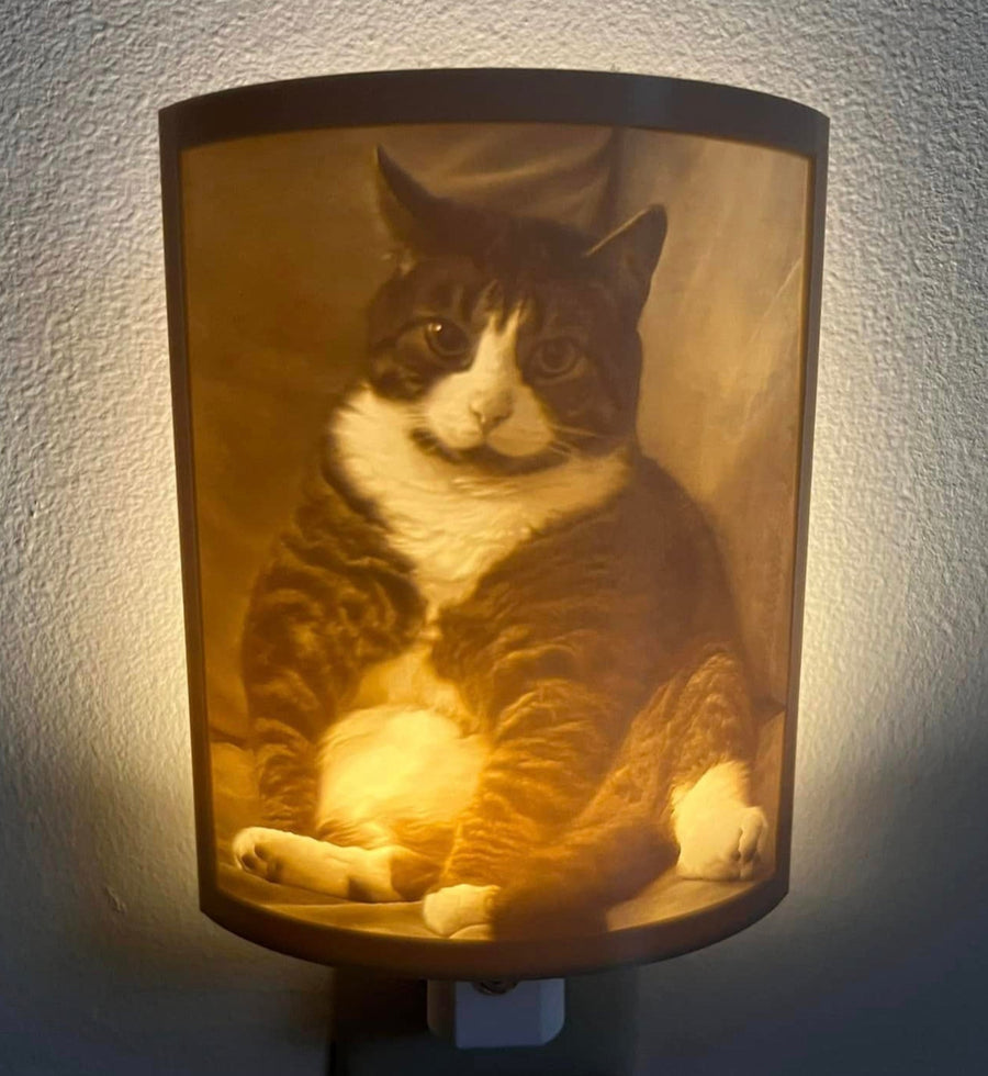 Lithophane night light glowing on a wall, showing a photo of a tabby and white cat