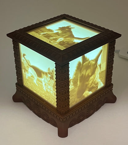 Corner view of the lit gothic photo box showing two dog photo panels