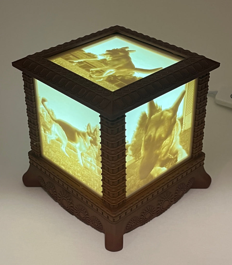 Corner view of the lit gothic photo box showing two dog photo panels