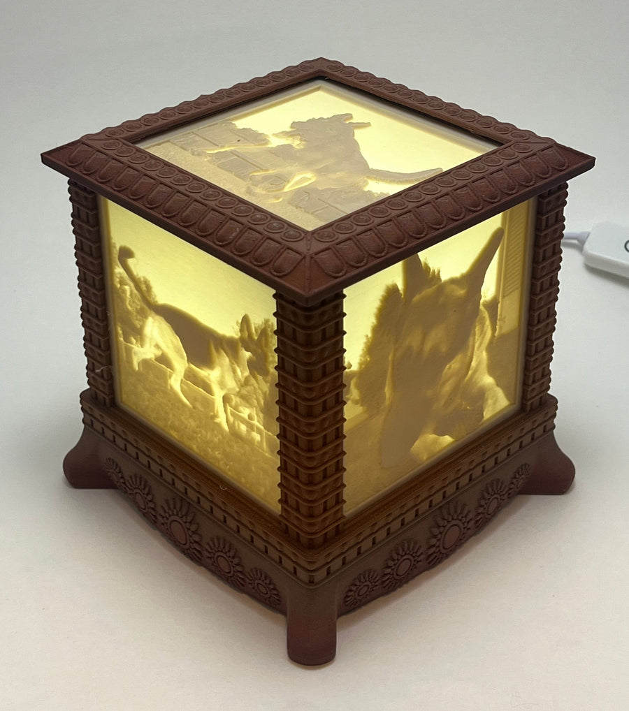 Lit gothic lithophane photo box with carved rosewood frame, showing dog photos